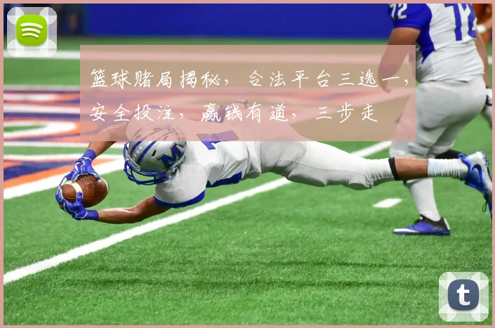 篮球赌局揭秘，合法平台三选一，安全投注，赢钱有道，三步走