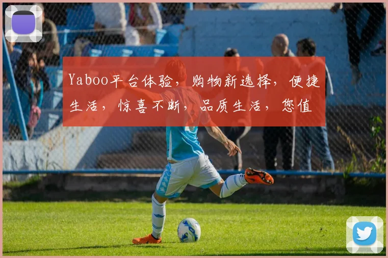 Yaboo平台体验，购物新选择，便捷生活，惊喜不断，品质生活，您值得拥有