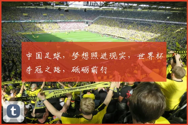 中国足球，梦想照进现实，世界杯夺冠之路，砥砺前行