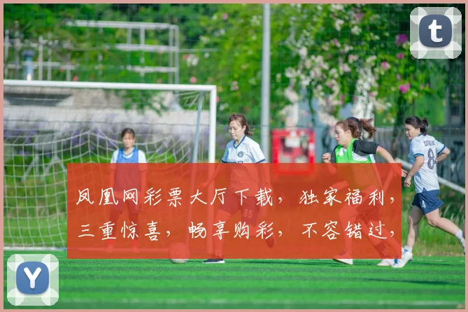 凤凰网彩票大厅下载，独家福利，三重惊喜，畅享购彩，不容错过，速来下载
